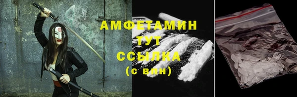 хмурый Пересвет