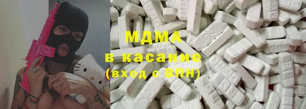 хмурый Пересвет