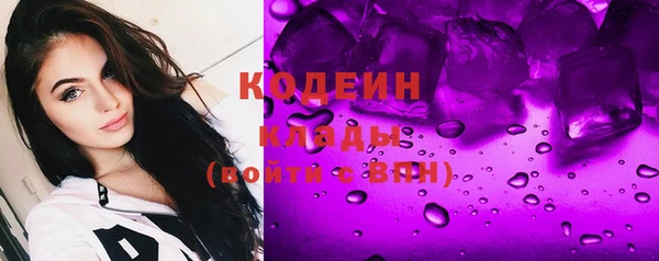 соль ск Пестово