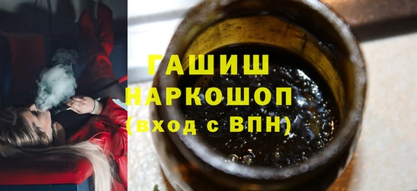 хмурый Пересвет