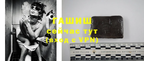 хмурый Пересвет