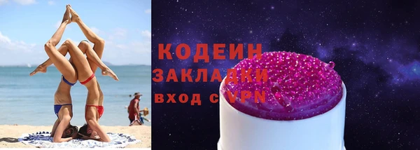 хмурый Пересвет