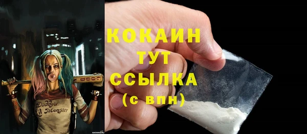 хмурый Пересвет