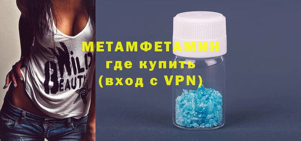 хмурый Пересвет