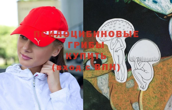 гидра Переславль-Залесский