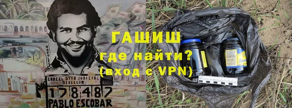хмурый Пересвет