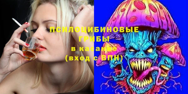соль ск Пестово