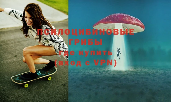 хмурый Пересвет
