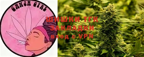гидра Переславль-Залесский
