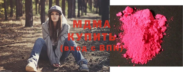 хмурый Пересвет
