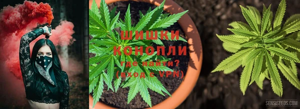 гашиш Осинники
