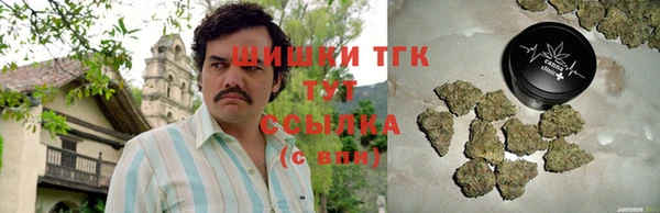 хмурый Пересвет