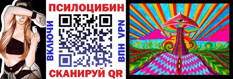 Псилоцибиновые грибы Cubensis  Купить  Зубцов 