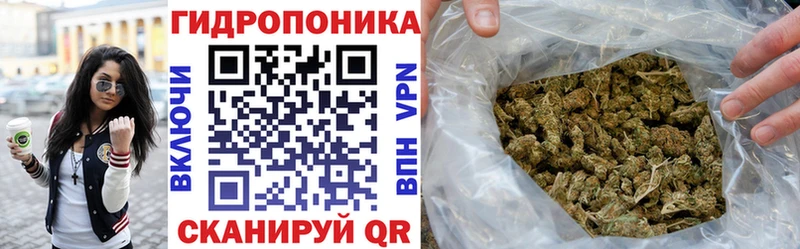 Конопля Amnesia Зубцов